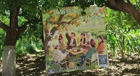 W020250916362627630309_副本.jpg