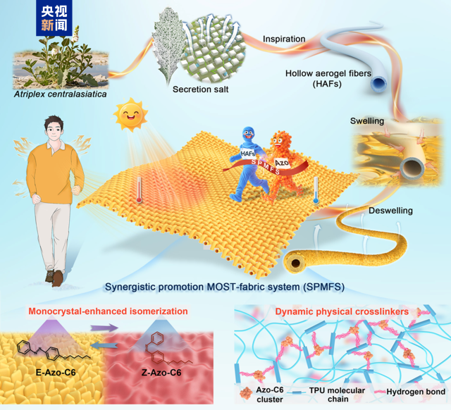 协同增强的分子太阳能热织物体系设计示意图